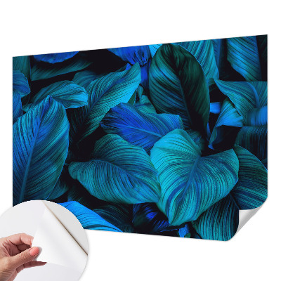 Fototapeta na ścianę Fototapeta na ścianę