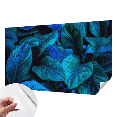 Fototapeta na ścianę Fototapeta na ścianę