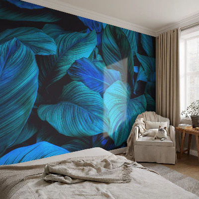 Fototapeta na ścianę Fototapeta na ścianę