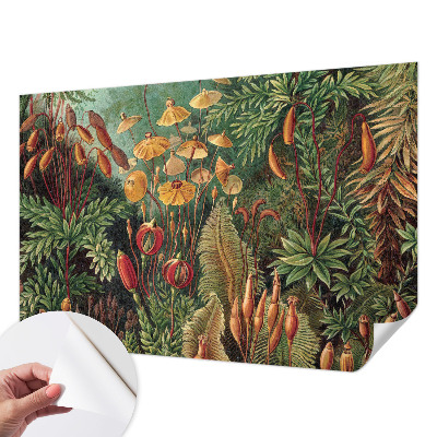 Fototapeta samoprzylepna do sypialni Egzotyczny ogród