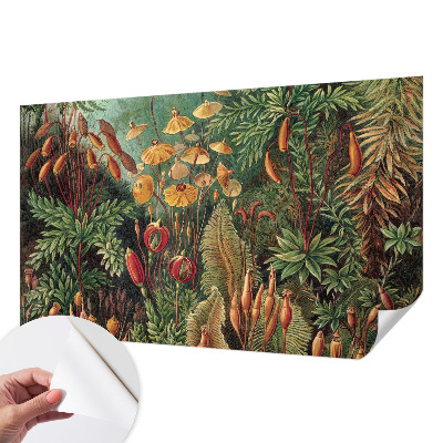 Fototapeta samoprzylepna do sypialni Fototapeta samoprzylepna do sypialni