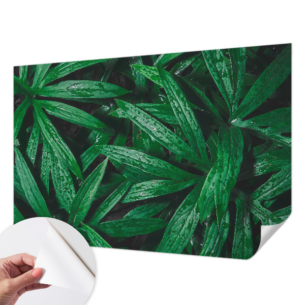 Fototapeta samoprzylepna z nadrukiem z motywem naturalnej zieleni