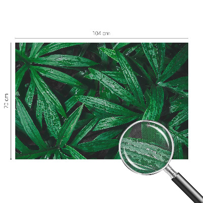 Fototapeta samoprzylepna z nadrukiem z motywem naturalnej zieleni