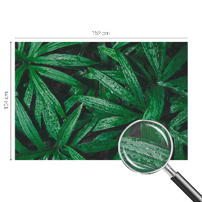 Fototapeta samoprzylepna z nadrukiem z motywem naturalnej zieleni