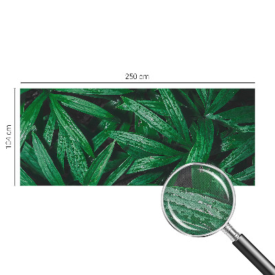 Fototapeta samoprzylepna z nadrukiem z motywem naturalnej zieleni