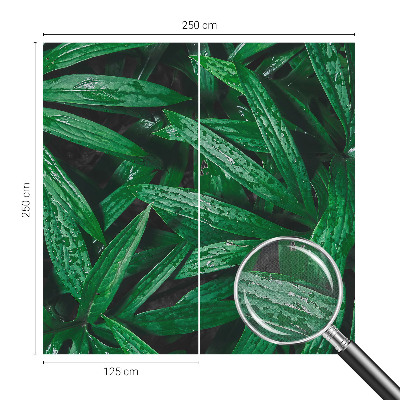 Fototapeta samoprzylepna z nadrukiem z motywem naturalnej zieleni