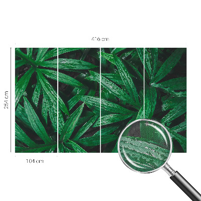 Fototapeta samoprzylepna z nadrukiem z motywem naturalnej zieleni