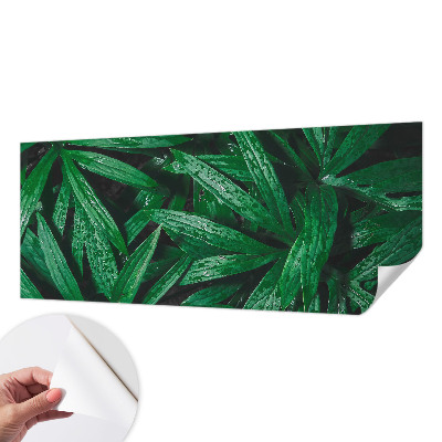 Fototapeta samoprzylepna z nadrukiem z motywem naturalnej zieleni