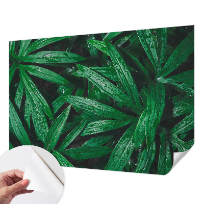 Fototapeta samoprzylepna z nadrukiem z motywem naturalnej zieleni