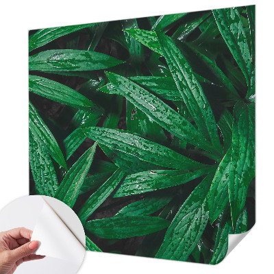 Fototapeta samoprzylepna z nadrukiem z motywem naturalnej zieleni