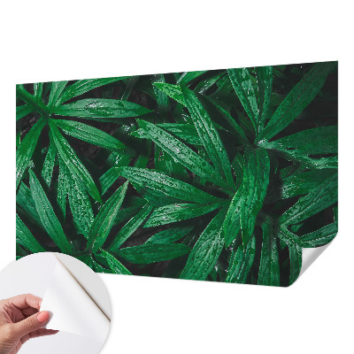 Fototapeta samoprzylepna z nadrukiem z motywem naturalnej zieleni