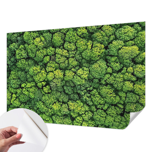 Fototapeta samoprzylepna do sypialni z motywem leśnej panoramy