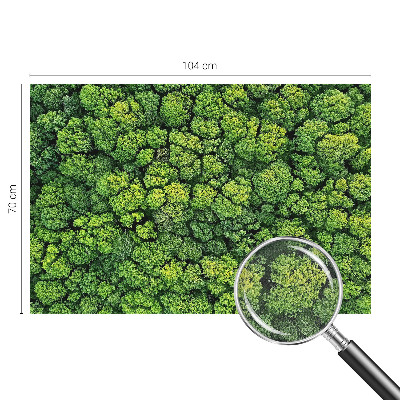 Fototapeta samoprzylepna do sypialni z motywem leśnej panoramy