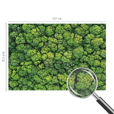 Fototapeta samoprzylepna do sypialni z motywem leśnej panoramy