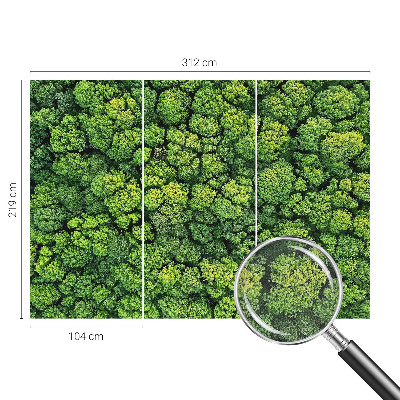 Fototapeta samoprzylepna do sypialni z motywem leśnej panoramy