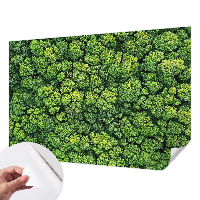Fototapeta samoprzylepna do sypialni z motywem leśnej panoramy