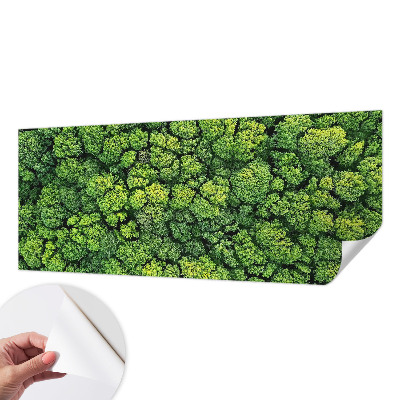 Fototapeta samoprzylepna do sypialni z motywem leśnej panoramy