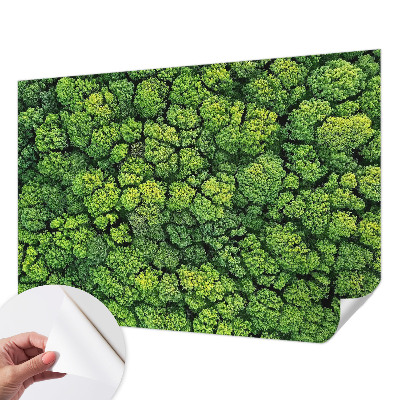 Fototapeta samoprzylepna do sypialni Fototapeta samoprzylepna do sypialni