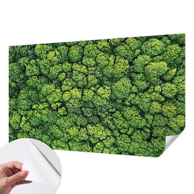 Fototapeta samoprzylepna do sypialni z motywem leśnej panoramy