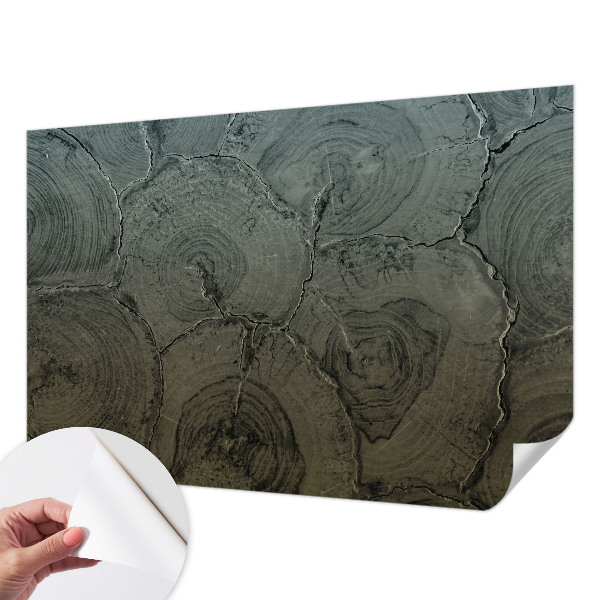 Dekoracyjna fototapeta na ścianę Dekoracyjna fototapeta na ścianę