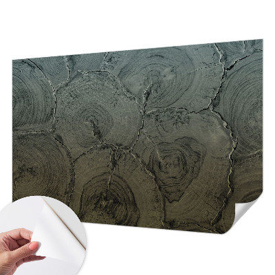 Dekoracyjna fototapeta na ścianę Dekoracyjna fototapeta na ścianę