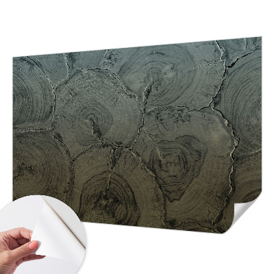 Dekoracyjna fototapeta na ścianę Dekoracyjna fototapeta na ścianę