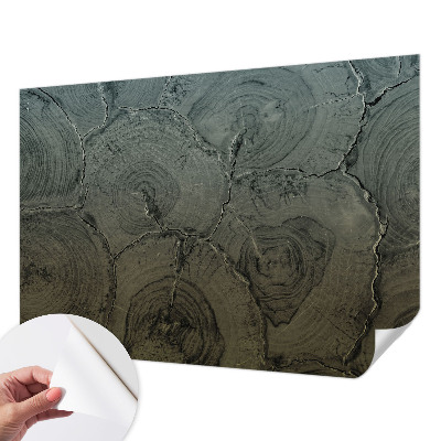 Dekoracyjna fototapeta na ścianę Dekoracyjna fototapeta na ścianę