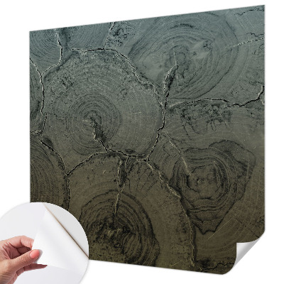 Dekoracyjna fototapeta na ścianę Dekoracyjna fototapeta na ścianę