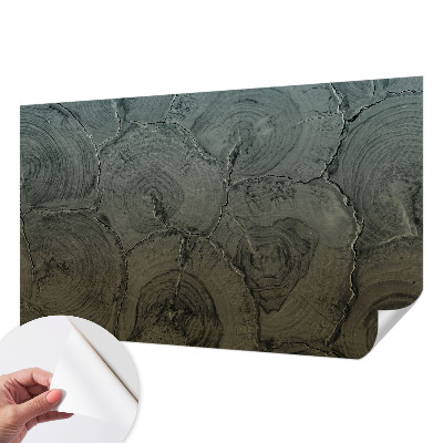 Dekoracyjna fototapeta na ścianę Dekoracyjna fototapeta na ścianę