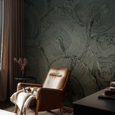 Dekoracyjna fototapeta na ścianę Dekoracyjna fototapeta na ścianę