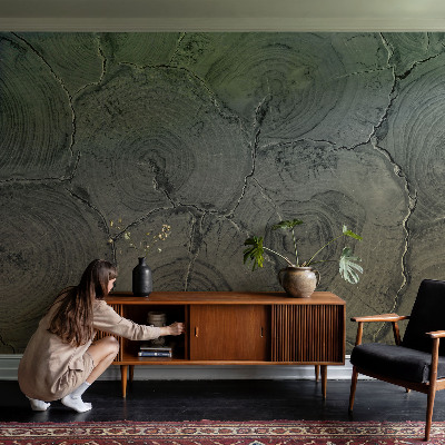 Dekoracyjna fototapeta na ścianę Dekoracyjna fototapeta na ścianę