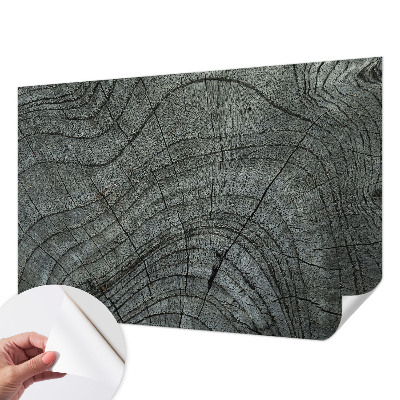 Nowoczesna fototapeta do salonu Słojowy wzór