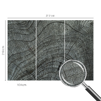 Nowoczesna fototapeta do salonu Nowoczesna fototapeta do salonu