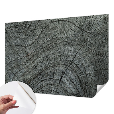 Nowoczesna fototapeta do salonu Nowoczesna fototapeta do salonu