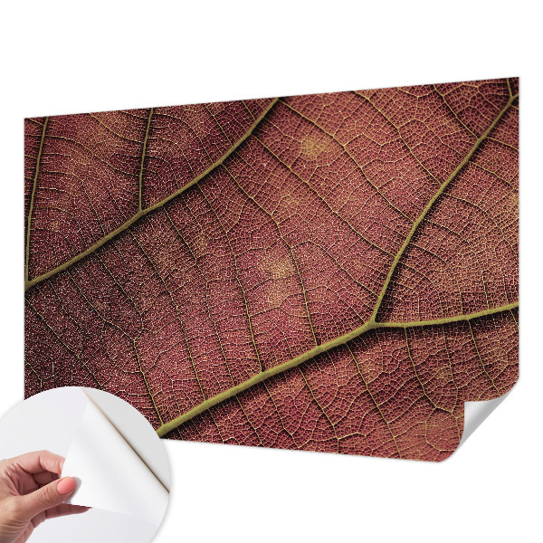 Dekoracyjna fototapeta na ścianę Dekoracyjna fototapeta na ścianę