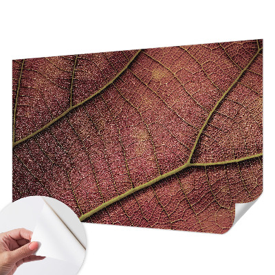 Dekoracyjna fototapeta na ścianę z liściastą teksturą