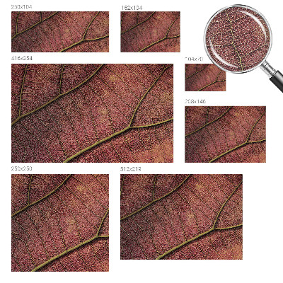 Dekoracyjna fototapeta na ścianę Dekoracyjna fototapeta na ścianę