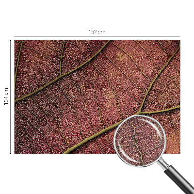 Dekoracyjna fototapeta na ścianę z liściastą teksturą