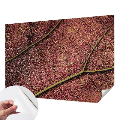 Dekoracyjna fototapeta na ścianę Dekoracyjna fototapeta na ścianę