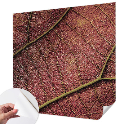 Dekoracyjna fototapeta na ścianę Dekoracyjna fototapeta na ścianę