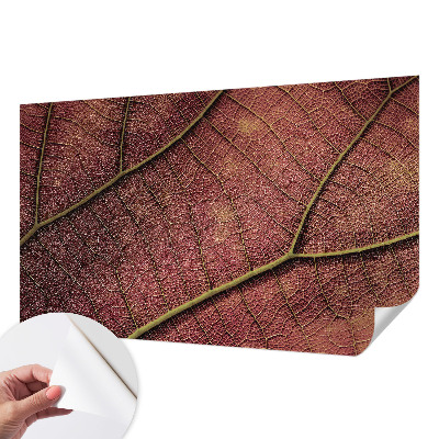 Dekoracyjna fototapeta na ścianę Dekoracyjna fototapeta na ścianę