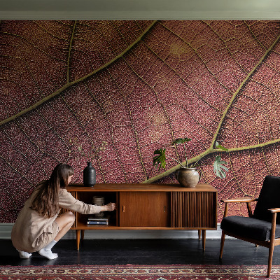 Dekoracyjna fototapeta na ścianę Dekoracyjna fototapeta na ścianę