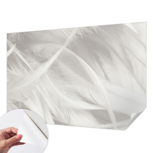 Dekoracyjna fototapeta na ścianę Dekoracyjna fototapeta na ścianę