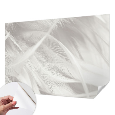 Dekoracyjna fototapeta na ścianę Dekoracyjna fototapeta na ścianę