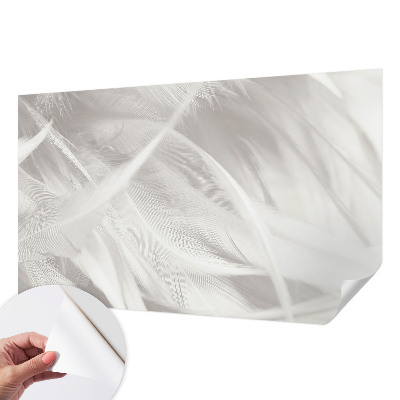 Dekoracyjna fototapeta na ścianę Dekoracyjna fototapeta na ścianę