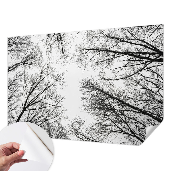 Nowoczesna fototapeta do salonu Nowoczesna fototapeta do salonu