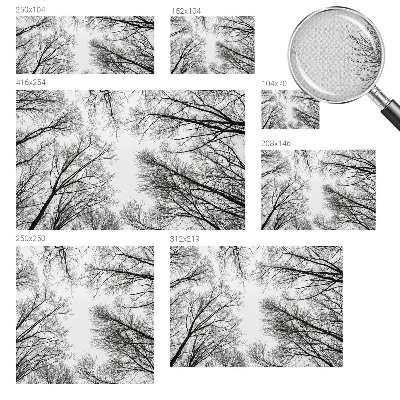 Nowoczesna fototapeta do salonu Nowoczesna fototapeta do salonu