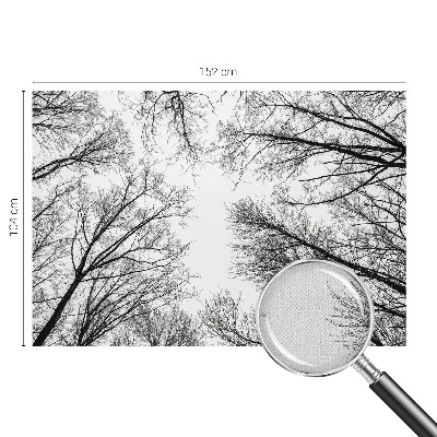 Nowoczesna fototapeta do salonu Nowoczesna fototapeta do salonu