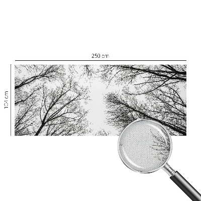 Nowoczesna fototapeta do salonu z motywem nagich gałęzi