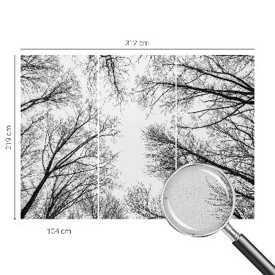 Nowoczesna fototapeta do salonu Nowoczesna fototapeta do salonu